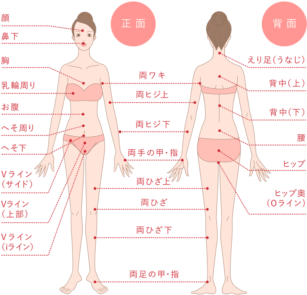 全身脱毛サロン 銀座カラー の特徴と評判を口コミから調査 どんなサロン コスメboxラボ 3匹のアラサーによる本気の美容レビュー隊