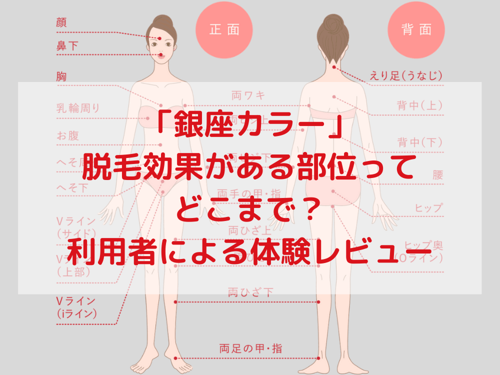 全身脱毛サロン 銀座カラー 脱毛効果がある部位ってどこまで 利用者による体験レビュー コスメboxラボ 3匹のアラサーによる本気の美容レビュー隊